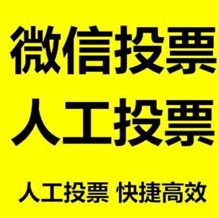 大同市投票活动拉票能被查出来吗？如何操作能不被发现？